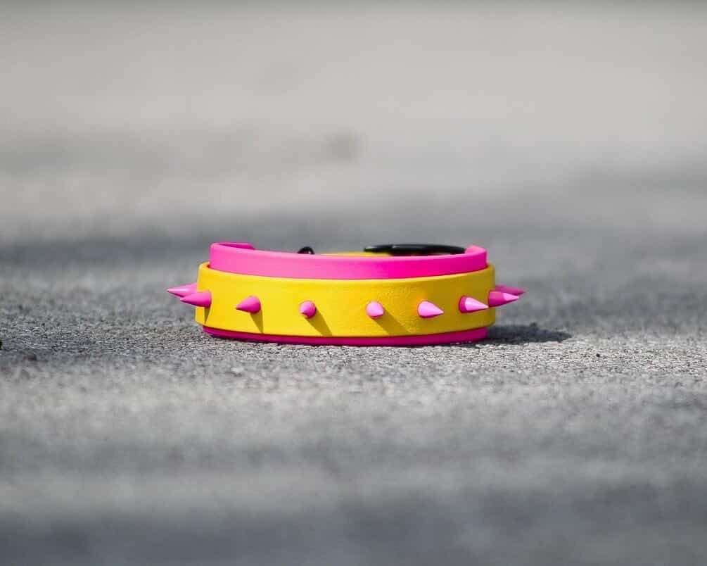 Spike Collar