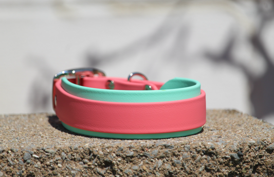Double Layered Collar